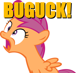 Size: 1073x1024 | Tagged: safe, scootaloo, chicken, image macro, meme, onomatopoeia, scootachicken, simple background, solo, white background, yellow text