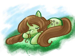 Size: 800x600 | Tagged: safe, artist:cloverminto, oc, oc only, earth pony, pony, female, mare, prone, sleeping, solo