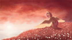 Size: 2560x1440 | Tagged: safe, artist:floverale-hellewen, fluttershy, pegasus, pony, female, field, flower field, looking away, mare, outdoors, signature, solo, spread wings, standing, sunset, wings