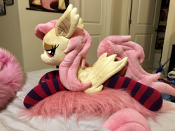 Size: 1422x1067 | Tagged: safe, artist:natureshy, artist:p0w3rporco, fluttershy, bat pony, pony, bat ponified, bedroom eyes, clothes, flutterbat, plushie, race swap, socks, striped socks