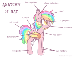 Size: 2506x1955 | Tagged: safe, artist:hawthornss, oc, oc only, oc:paper stars, bat pony, pony, amputee, anatomy, anatomy chart, anatomy guide, chart, cute little fangs, fangs, female, mare, nyoom, simple background, skree, smiling, solo, stump, text, white background