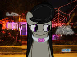 Size: 900x672 | Tagged: safe, artist:erthilo, octavia melody, earth pony, pony, ask octavia, female, halloween, holiday, irl, mare, photo, ponies in real life, solo