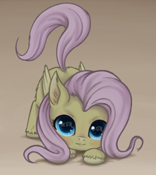 Size: 900x1013 | Tagged: safe, artist:zetamad, edit, fluttershy, pegasus, pony, behaving like a cat, cute, ear fluff, face down ass up, fluttercat, folded wings, looking at you, looking up, misspelling, murder, shyabetes, simple background, solo, unshorn fetlocks, when you see it, wings