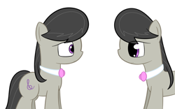 Size: 902x564 | Tagged: safe, artist:erthilo, octavia melody, earth pony, pony, ask octavia, duo, duo female, eye contact, female, looking at each other, mare, self ponidox, simple background, white background