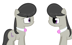 Size: 902x564 | Tagged: safe, artist:erthilo, octavia melody, earth pony, pony, ask octavia, duo, duo female, eye contact, female, looking at each other, mare, self ponidox, simple background, white background