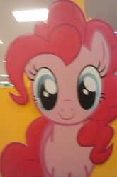 Size: 1350x2048 | Tagged: safe, pinkie pie, clothes section, display, irl, photo, target (store)