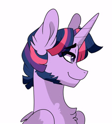 Size: 5000x5500 | Tagged: safe, artist:scarletskitty12, derpibooru import, dusk shine, prince dusk, twilight sparkle, twilight sparkle (alicorn), alicorn, pony, absurd resolution, bust, chest fluff, ear fluff, profile, rule 63, sideburns, simple background, smiling