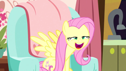 Size: 1920x1080 | Tagged: safe, artist:dwk, screencap, fluttershy, pegasus, pony, discordant harmony, chair, faic, female, hurr durr, mare, mid-blink screencap, sitting, smiling, solo, totally legit recap, wtf