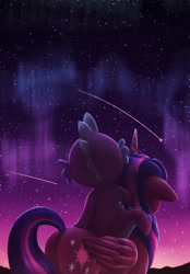 Size: 1506x2160 | Tagged: safe, artist:starblaze25, derpibooru import, spike, twilight sparkle, twilight sparkle (alicorn), alicorn, dragon, pony, aurora borealis, dragons riding ponies, duo, female, male, mare, night, plot, rear view, riding, shooting star, stargazing, starry night, stars, twibutt, twilight (astronomy)