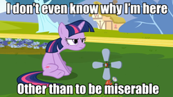 Size: 960x539 | Tagged: safe, derpibooru import, edit, edited screencap, screencap, twilight sparkle, caption, grumpy, grumpy twilight, image macro, meme, solo