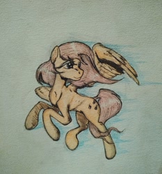 Size: 1005x1080 | Tagged: safe, artist:incrediblepanzer, fluttershy, pegasus, pony, female, flying, head turn, looking away, mare, solo, spread wings, traditional art, windswept mane, wings