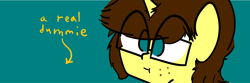 Size: 6250x2084 | Tagged: safe, artist:binary6, oc, oc only, oc:happy wigglesworth, unicorn, banner, freckles, glasses, male, meta, twitter