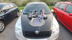 Size: 4608x2592 | Tagged: safe, octavia melody, earth pony, pony, background pony, bowtie, car, cello, crossed hooves, crossed legs, female, irl, mare, musical instrument, namesake, octaviocalypse, photo, plushie, pun, skoda, skoda octavia, solo, sticker, toy, treble clef