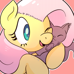 Size: 1000x1000 | Tagged: safe, artist:talim_stuff, fluttershy, pegasus, pony, cute, daaaaaaaaaaaw, ear fluff, kitten, shyabetes, signature, snuggling, weapons-grade cute