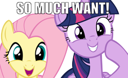 Size: 14044x8661 | Tagged: safe, derpibooru import, fluttershy, twilight sparkle, twilight sparkle (alicorn), alicorn, pegasus, pony, absurd resolution, meme, simple background, so much want, transparent background, vector