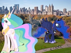 Size: 1600x1200 | Tagged: safe, artist:dashiesparkle, artist:pilot231, artist:princesslunayay, princess celestia, princess luna, alicorn, human, pony, central park, city, deviantart watermark, female, giant ponies in real life, giant pony, giantess, giantlestia, grass, highrise ponies, irl, irl human, macro, mega celestia, mega luna, new york, new york city, obtrusive watermark, photo, pond, ponies in real life, royal sisters, siblings, sisters, tree, united states, watermark