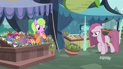 Size: 1920x1080 | Tagged: safe, screencap, daisy, flower wishes, pinkie pie, pony, yakity-sax, flower, pinkamena diane pie