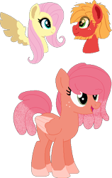 Size: 360x571 | Tagged: safe, artist:klawiee, big macintosh, fluttershy, earth pony, pegasus, pony, female, fluttermac, male, offspring, parent:big macintosh, parent:fluttershy, parents:fluttermac, shipping, simple background, socks (coat marking), straight, transparent background