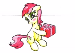 Size: 2338x1653 | Tagged: safe, artist:bbqninja501st, roseluck, pony, advent calendar, blushing, christmas, gift giving, head turn, holding, present, simple background, sitting, smiling, solo, traditional art, white background