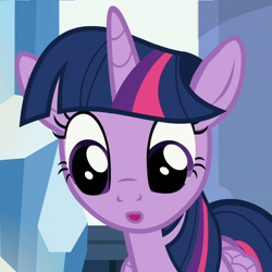 Size: 924x924 | Tagged: safe, derpibooru import, screencap, twilight sparkle, twilight sparkle (alicorn), alicorn, pony, the times they are a changeling, floppy ears