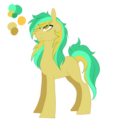 Size: 2914x3000 | Tagged: safe, artist:kittii-kat, oc, oc only, oc:goldrush, earth pony, pony, male, reference sheet, simple background, solo, stallion, white background