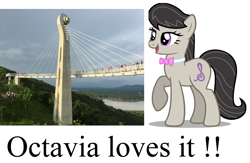 Size: 1991x1296 | Tagged: safe, artist:schwarz, octavia melody, earth pony, pony, architecture, obligatory pony, siaogongshan skywalk park, taiwan