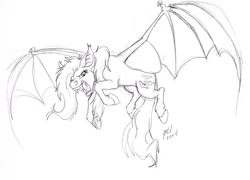 Size: 1280x923 | Tagged: safe, artist:carnivorouscaribou, fluttershy, bat pony, pony, bat ponified, bat wings, flutterbat, flying, hissing, looking at you, menacing, monochrome, open mouth, race swap, solo, spread wings, traditional art, wings