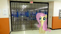 Size: 500x281 | Tagged: safe, artist:anthony60617, fluttershy, pony, fitness room, irl, locked door, photo, ping pong table, ponies in real life, school