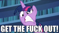 Size: 1920x1080 | Tagged: safe, derpibooru import, edit, edited screencap, screencap, twilight sparkle, twilight sparkle (alicorn), alicorn, pony, every little thing she does, angry, caption, get out, how do you make your neck go like that?, image macro, meme, reaction image, solo, vulgar