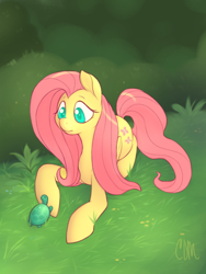 Size: 768x1024 | Tagged: safe, artist:cinderdmutt, fluttershy, pegasus, pony, turtle, colored pupils, cute, female, grass, mare, prone, shyabetes, solo