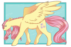 Size: 1280x855 | Tagged: safe, artist:stella-drawz, fluttershy, pegasus, pony, cute, female, large wings, leg fluff, lidded eyes, long ears, mare, profile, shyabetes, solo, wings