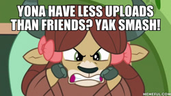 Size: 600x337 | Tagged: safe, edit, edited screencap, screencap, yona, yak, a matter of principals, angry, cloven hooves, female, frown, glare, gritted teeth, image macro, meme, meta, yak smash