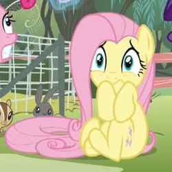 Size: 341x339 | Tagged: safe, screencap, fluttershy, pegasus, pony, filli vanilli, season 4, scared