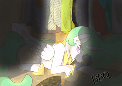 Size: 5016x3541 | Tagged: safe, artist:gryphon bbq, princess celestia, alicorn, pony, behaving like a dog, caught, chewing, closet, clothes, darkness, eating, female, lighting, mare, prone, slippers, solo