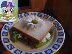 Size: 480x360 | Tagged: safe, derpibooru import, twilight sparkle, the ticket master, daffodil and daisy sandwich, defictionalization, food, irl, photo, sandwich, solo