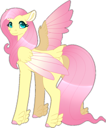 Size: 903x1089 | Tagged: safe, artist:clay-bae, fluttershy, pegasus, pony, colored wings, colored wingtips, feathered fetlocks, female, mare, simple background, solo, tail feathers, transparent background