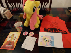 Size: 900x675 | Tagged: safe, fluttershy, oc, oc:tailcoatl, pony, bronymexicon, clothes, irl, photo, plushie, shirt, t-shirt