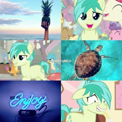 Size: 1200x1200 | Tagged: safe, edit, edited screencap, screencap, gallus, sandbar, smolder, earth pony, pony, turtle, school daze, aesthetics, cutie mark, food, male, meta, pineapple, twitter