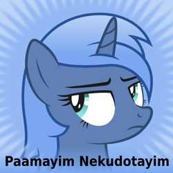 Size: 1024x1024 | Tagged: safe, artist:djdavid98, oc, oc only, oc:paamayim nekudotayim, pony, unicorn, bust, derpibooru, female, meta, not amused face, official spoiler image, portrait, simple background, solo, spoilered image joke, vector