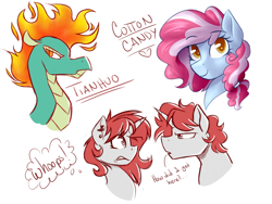 Size: 4000x3000 | Tagged: safe, artist:rubywave32, tianhuo, oc, oc:cotton candy, oc:ruby, earth pony, pony, unicorn, them's fightin' herds, bust, community related, female, male, mane of fire, mare, offspring, parent:pinkie pie, parent:pokey pierce, parents:pokeypie, rule 63, simple background, stallion, white background