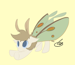 Size: 2000x1724 | Tagged: safe, artist:mrrowboat, oc, oc only, oc:moon dust, mothpony, original species, exploitable meme, iwtcird, meme, scrunchy face, solo