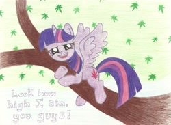 Size: 6810x4973 | Tagged: safe, artist:mrplumbus, derpibooru import, twilight sparkle, twilight sparkle (alicorn), alicorn, pony, absurd resolution, colored pencil drawing, drugs, high, marijuana, solo, traditional art, tree