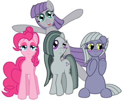 Size: 7800x6420 | Tagged: safe, artist:fascismnotincluded, limestone pie, marble pie, maud pie, pinkie pie, earth pony, pony, absurd resolution, blushing, frog (hoof), personality swap, simple background, transparent background, underhoof, vector