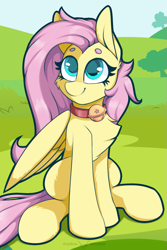 Size: 1181x1772 | Tagged: safe, artist:php97, fluttershy, pegasus, pony, beanbrows, bell, bell collar, cat bell, chest fluff, collar, cute, eyebrows, female, flutterpet, looking at you, mare, pet play, pony pet, shyabetes, sitting, solo