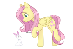 Size: 6000x4000 | Tagged: safe, artist:ev04kaa, fluttershy, pegasus, pony, rabbit, duo, female, folded wings, looking at something, looking down, mare, raised hoof, raised leg, rcf community, sidemouth, simple background, smiling, standing, white background, wings