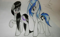 Size: 1024x628 | Tagged: safe, artist:envygirl95, dj pon-3, octavia melody, vinyl scratch, earth pony, pony, cute, traditional art