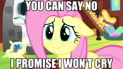 Size: 1280x720 | Tagged: safe, edit, edited screencap, screencap, fluttershy, pegasus, pony, fluttershy leans in, blatant lies, cute, shyabetes, smiling, solo, text, this ended in tears, this will end in tears