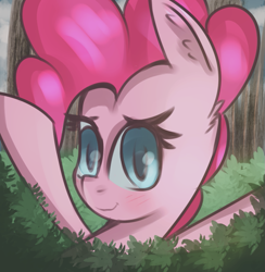 Size: 757x775 | Tagged: safe, anonymous artist, pinkie pie, earth pony, pony, blushing, bush, bust, cloud, female, looking at you, mare, smiling, solo, tree