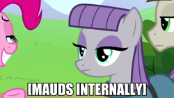 Size: 1920x1080 | Tagged: safe, edit, edited screencap, screencap, maud pie, mudbriar, pinkie pie, earth pony, pony, the maud couple, caption, female, image macro, impact font, male, mare, maud being maud, meme, stallion, text, totally legit recap, x internally