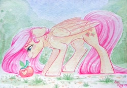 Size: 2614x1814 | Tagged: safe, artist:amishy, fluttershy, caterpillar, pegasus, pony, apple, blushing, female, floppy ears, food, grass, mare, smiling, solo, traditional art